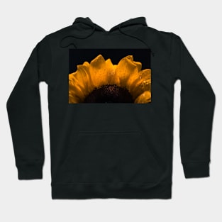 Sunflower Petals Hoodie